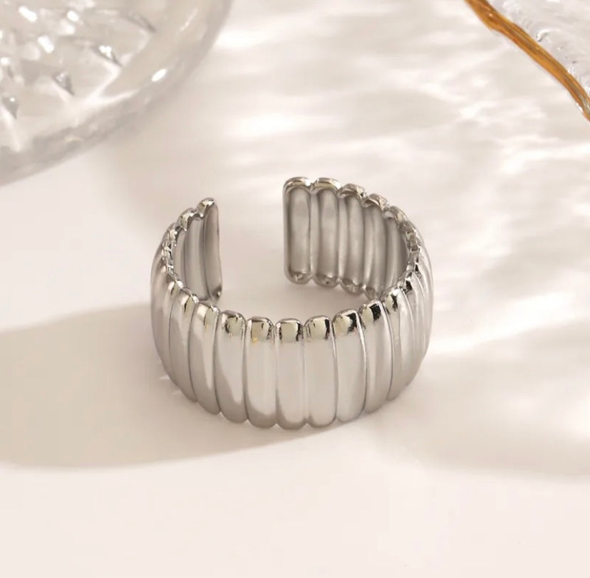 Anillo Dani Plateado