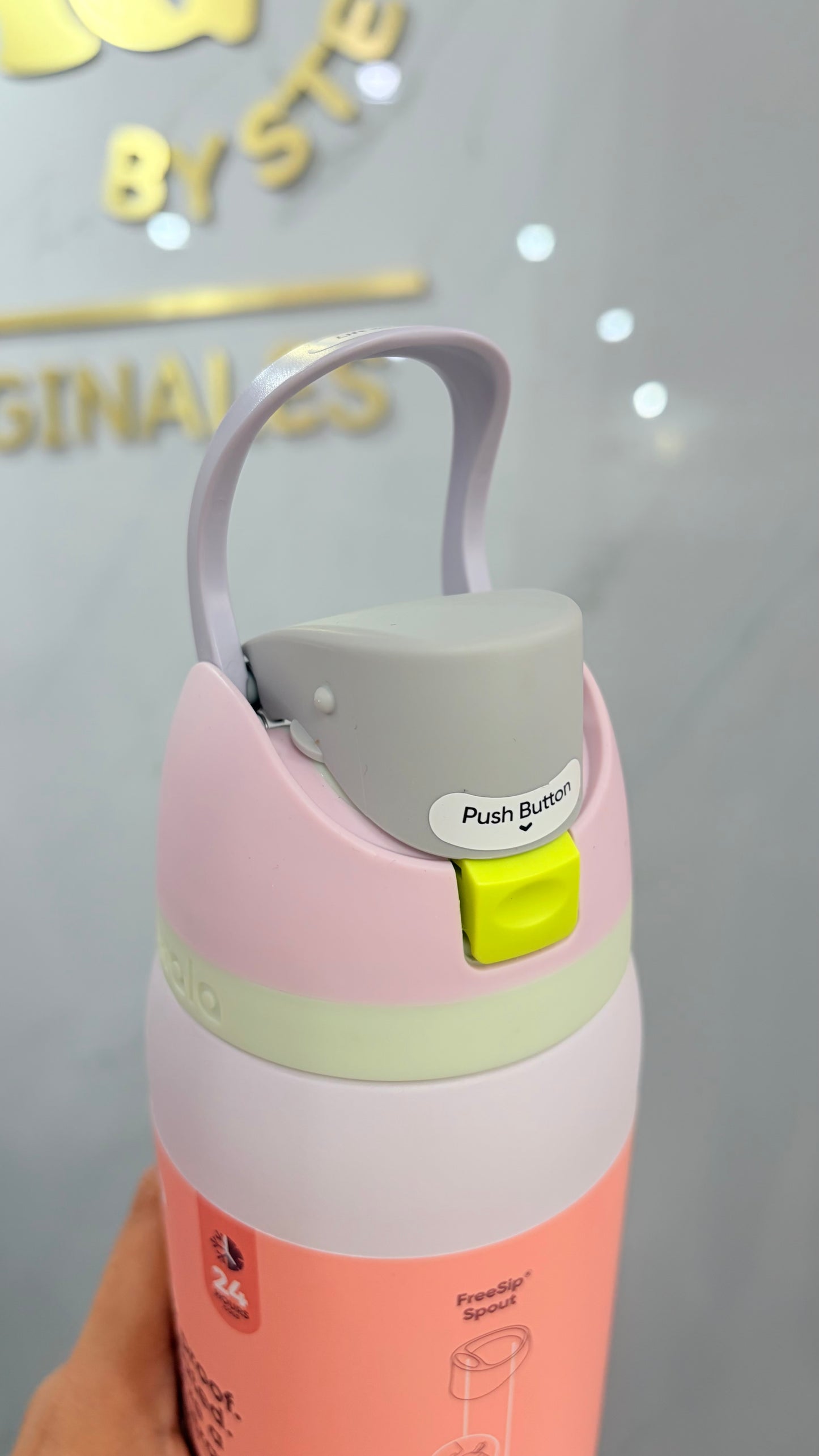 Termo Gris Y Morado 945ml Owala