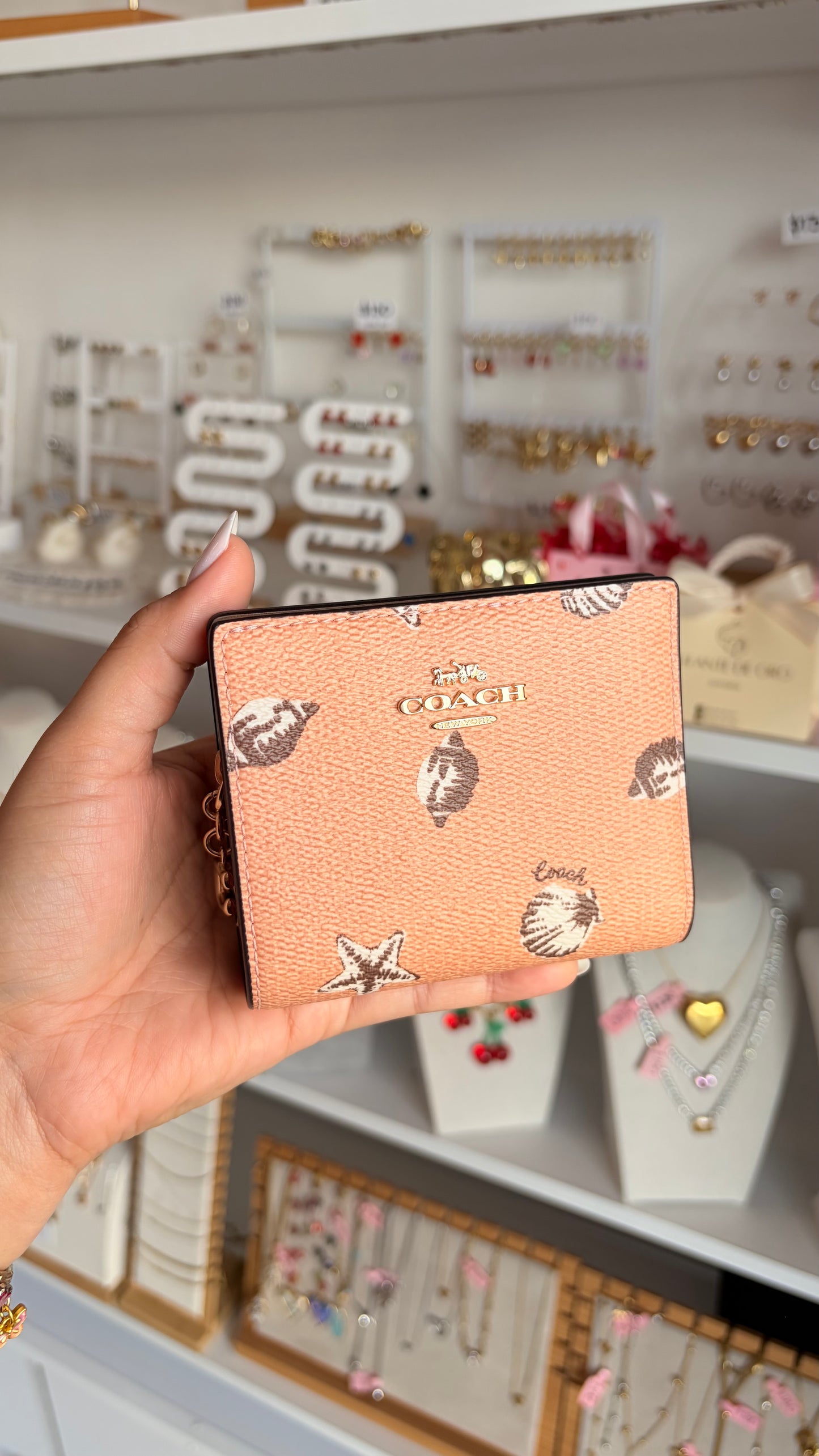 Cartera Dama Coach
