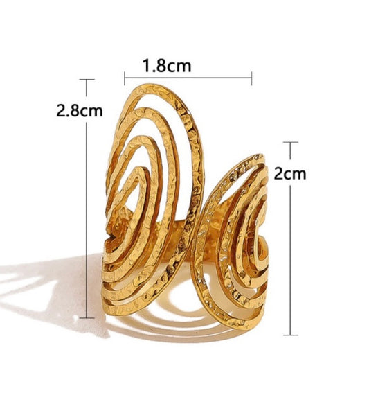 Anillo Anza