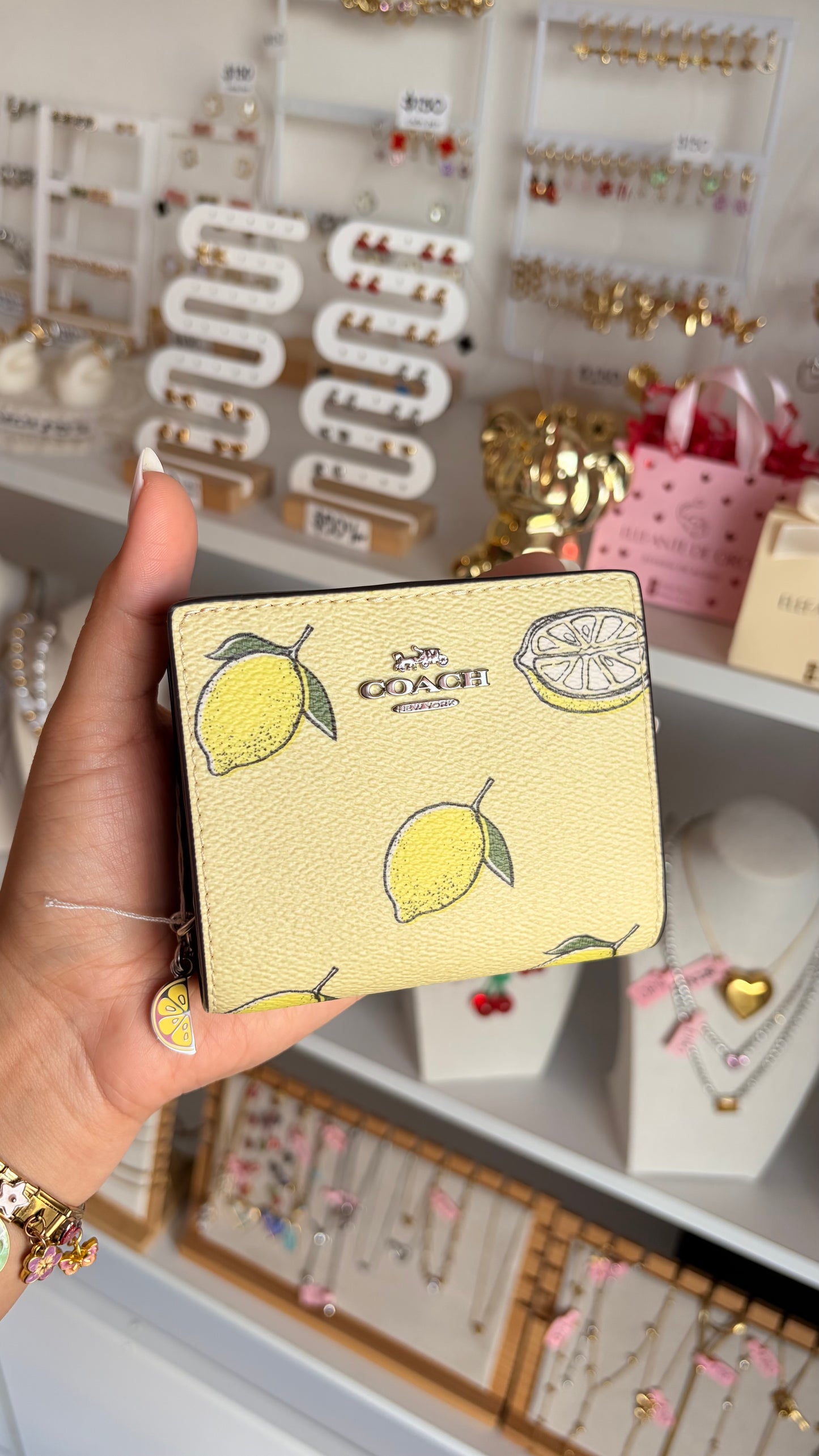 Cartera Dama Coach