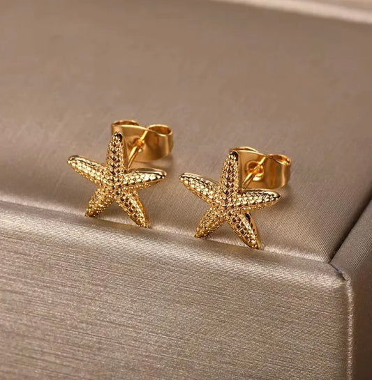 Aretes Mini Estrella