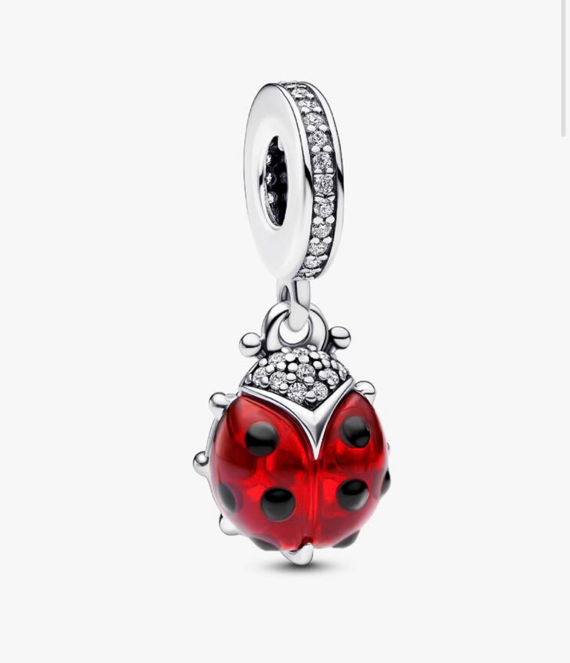 Charm Chapado Catarina Roja
